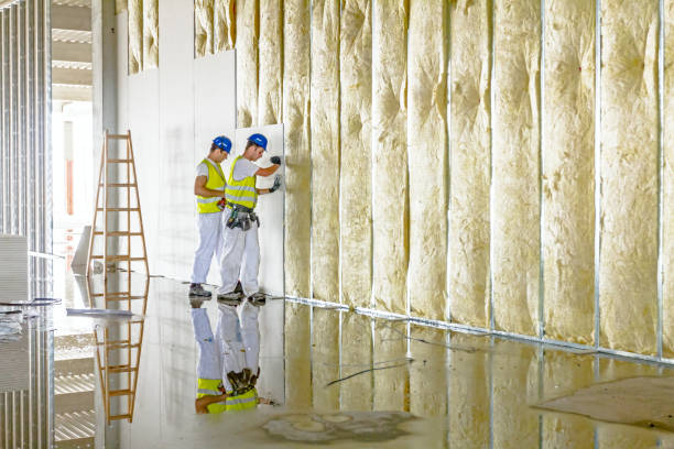 Best Blown-in Insulation in Kaibab Estates West, AZ